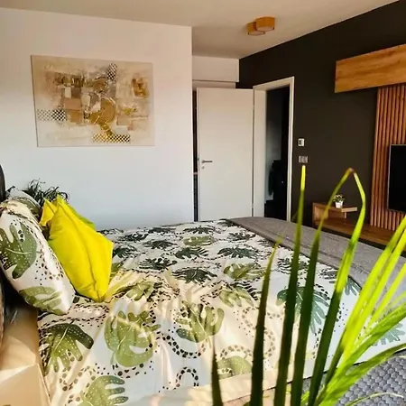 Joy Cosmopolit 503 *